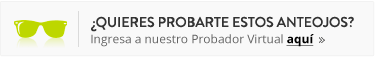 Probador Virtual