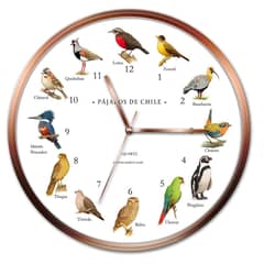 ANDES1 - Reloj De Pared Pájaros De Chile