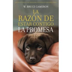 TOP10BOOKS - Libro LA RAZON DE ESTAR CONTIGO- LA PROMESA