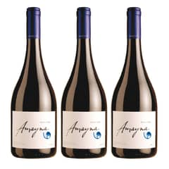 AMAYNA - 3 Vinos Garces Silva Pinot Noir