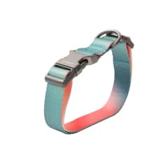 PIDAN - Collar Para Perro A2 - Pidan®