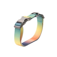 PIDAN - Collar Para Perro A1 - Pidan®