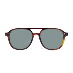 INZTINTO - Lente de sol George Tortoise-