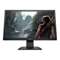 HP - Monitor 19.5 P204v