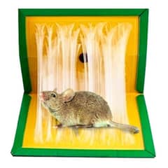 OEM - Trampa Adhesiva Ratones Y Ratas Cebo Roedores