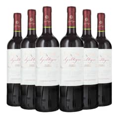 APALTAGUA - 6 Vinos Select Reserva Cabernet Sauvignon