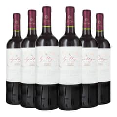 APALTAGUA - 6 Vinos Select Reserva Carmenere