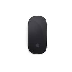 APPLE - Magic mouse 2 (gris espacial)