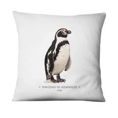 ANDES1 - Funda Cojín De Pingüino