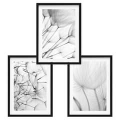 PAPEL ILUSTRADO - Set 3 Dandelion Photography 40x50 cm Marco Negro