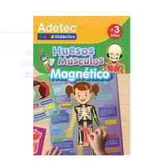 ADETEC - Láminas Magnéticas Interactivas Huesos y Músculos