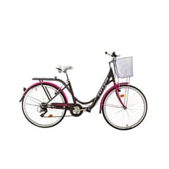 TOTEM - BICICLETA CITY DAMA ARO 26 GRIS CON FUCSIA