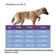 SUSU - Arnés X mascotas pequeñas Talla XS ROSA Correa GRATIS