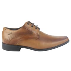 FERRACINI - Zapato Hombre Café Casual 6503