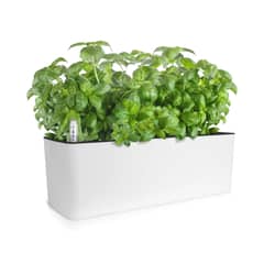 GROWLED - Macetero Autorregante rectangular 40 cms Blanco