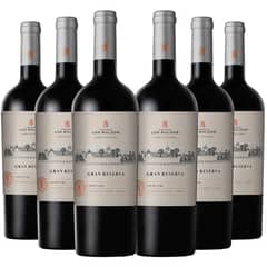 LOS BOLDOS - 6 Vinos Gran Reserva Carmenere