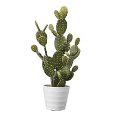 HOME GARDEN CHILE - Cactus Artificial 67 cm