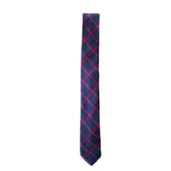 ELAB PROPIA - Corbata Guayo Dublín
