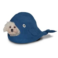 MYFAV - Dharma Dog Karma Cat Cueva Ballena Azul