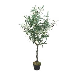MOBII - Planta Artificial Tipo Olivo. Altura: 120CM