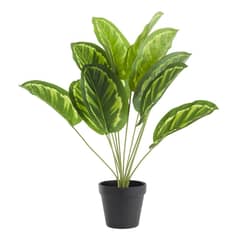 URBAN PRODUCTS - Planta artificial filodendro 50 cm
