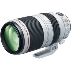CANON - EF 100-400mm f/4.5-5.6L IS II USM Lens - Blanco
