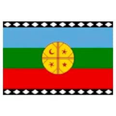 GENERICO - Bandera Mapuche Estmpada 90 X 150