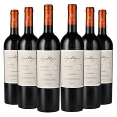 APALTAGUA - 6 Vinos Gran Reserva Envero Carmenere - Rojo