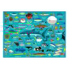 MUDPUPPY - Puzzle 1000Pcs Vida Del Oceano