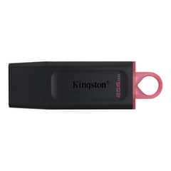 KINGSTON - Pendrive Exodia 256GB USB 3.2 DTX/256GB