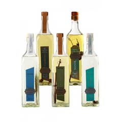 BOU - Pack Familia 5 Piscos Barroeta