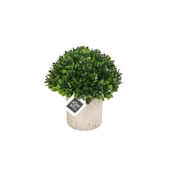 HOMEWELL - Planta Artificial Boj 12*12cm