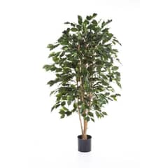 ARBUSTO REAL - Planta Artificial Ficus Premium 120 cm. 630 hjs /