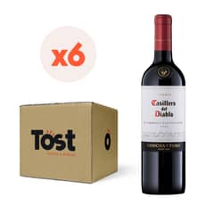 CASILLERO DEL DIABLO - 6x Vino Reserva Carmenere 13,5° 750cc