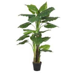 THE GREEN ELEMENT - Taro 135 CM