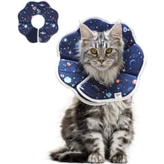 WELDMON - Collar isabelinoCollar suave de recuperación para gatosM