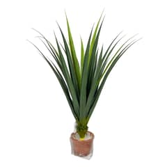 COREL - Agave Yuca Verde 80cm Súper Realista