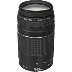 CANON - EF 75-300MM F4-56 III Lente Nergo