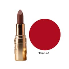 USHAS - Labial en Barra Matte T06