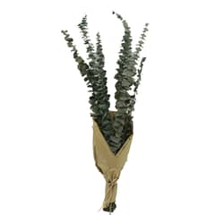 ANTICO HOME - Ramo Flores Eucaliptus Natural