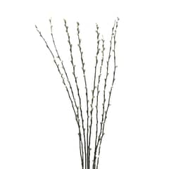 ANTICO HOME - Ramo Flores Sauce Cabruno Branches