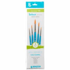 PRINCETON - Set 5 Pinceles Value Set 10