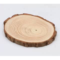 MOTARRO - Trozos De Madera 2 Piezas De 17 A 18 Cm Rodelas/tronco