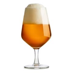 ROYAL LEERDAM - SET 6 COPON 38CL CERVEZA ENJOY THE MOMEN