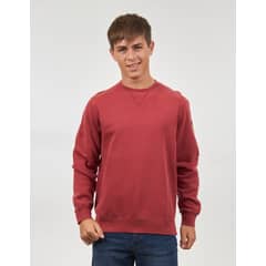 POLEMIC - Poleron cuello redondo Pigment Talla 12 a 18 -