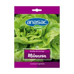 ANASAC - Semilla Lechuga Milanesa 5 Gr