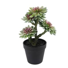 THE GREEN ELEMENT - Planta artificial Suculenta Verde 33 Cm