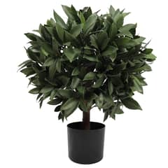 THE GREEN ELEMENT - Planta Artificial Laurel 67 CM