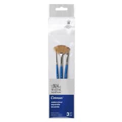WINSOR AND NEWTON - Set 3 Pinceles Cotman Winsor & Newton Mango Corto V3
