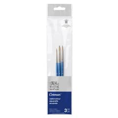 WINSOR AND NEWTON - Set 3 Pinceles Cotman Winsor & Newton Mango Corto V1